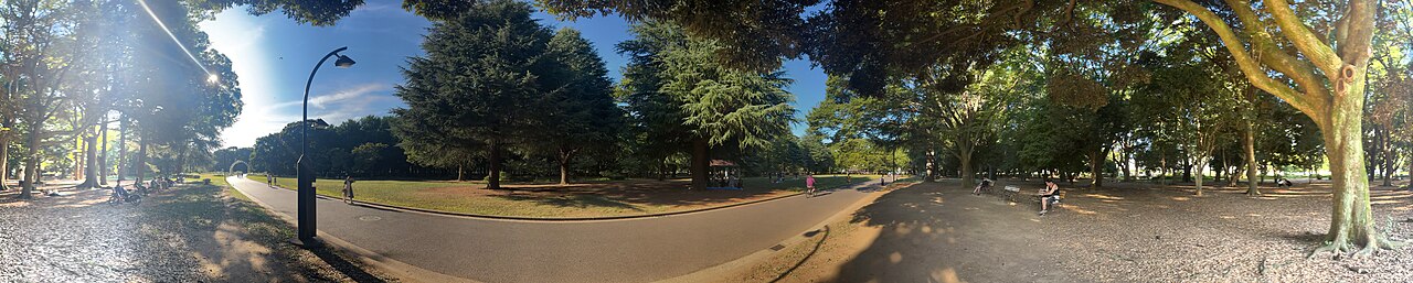 木々に囲まれた広い公園のパノラマ風景